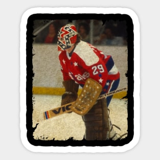 Mike Palmateer, 1982 in Washington Capitals (2 Shutouts) Sticker